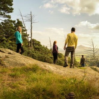 Dublin mountains - gallery main