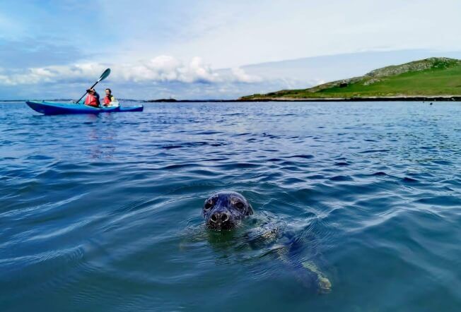 Dublin Coast Kayaking, Ireland's eye (1)