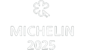 Michelin www.dylan.ie_v3